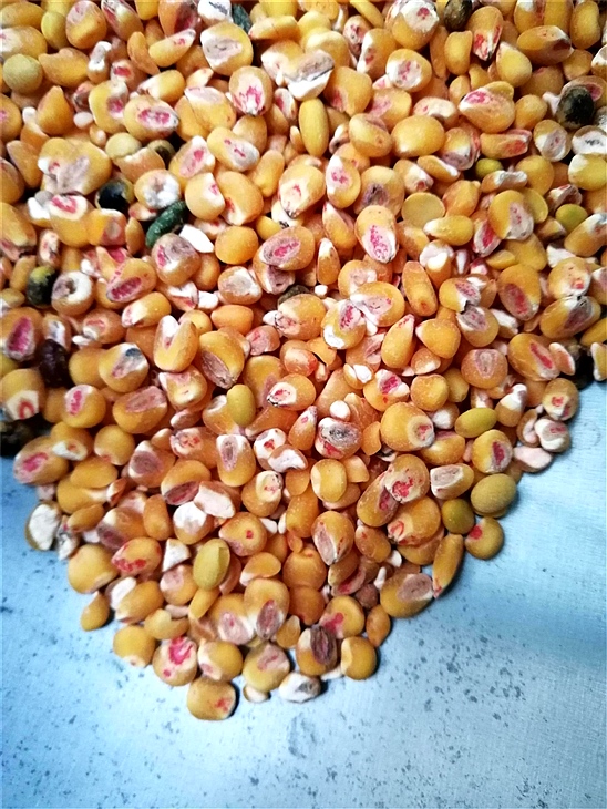 去麻豆资源在线观看藥種子包衣外皮去皮機